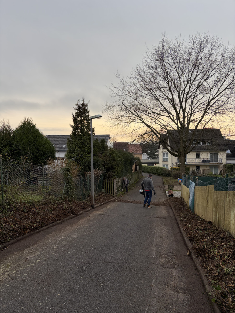 Die Pflege des Krokusweges ist Aufgabe der Stadt und der beauftragte Dienstleister hinterließ 'Kraut und Rüben' 