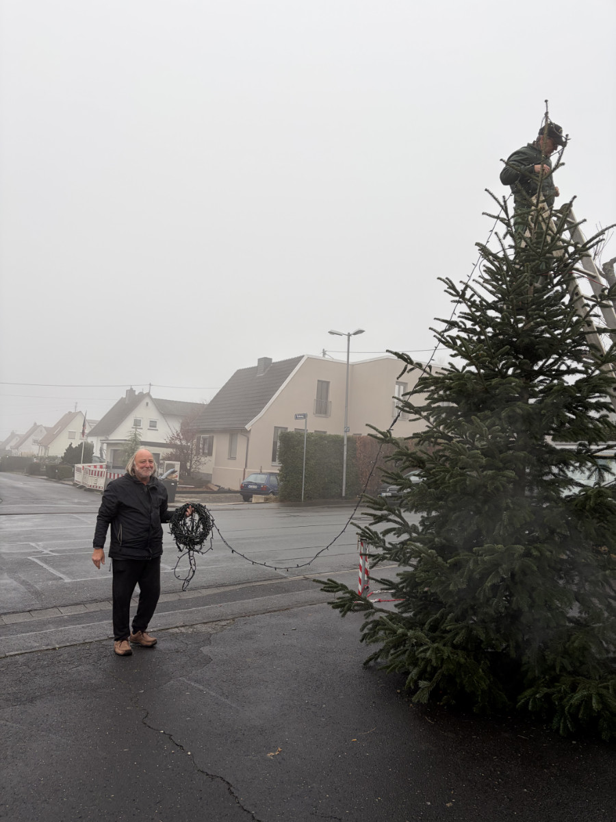 Unser Weihnachtsbaum für die Siedlung auf dem Kerbeplatz